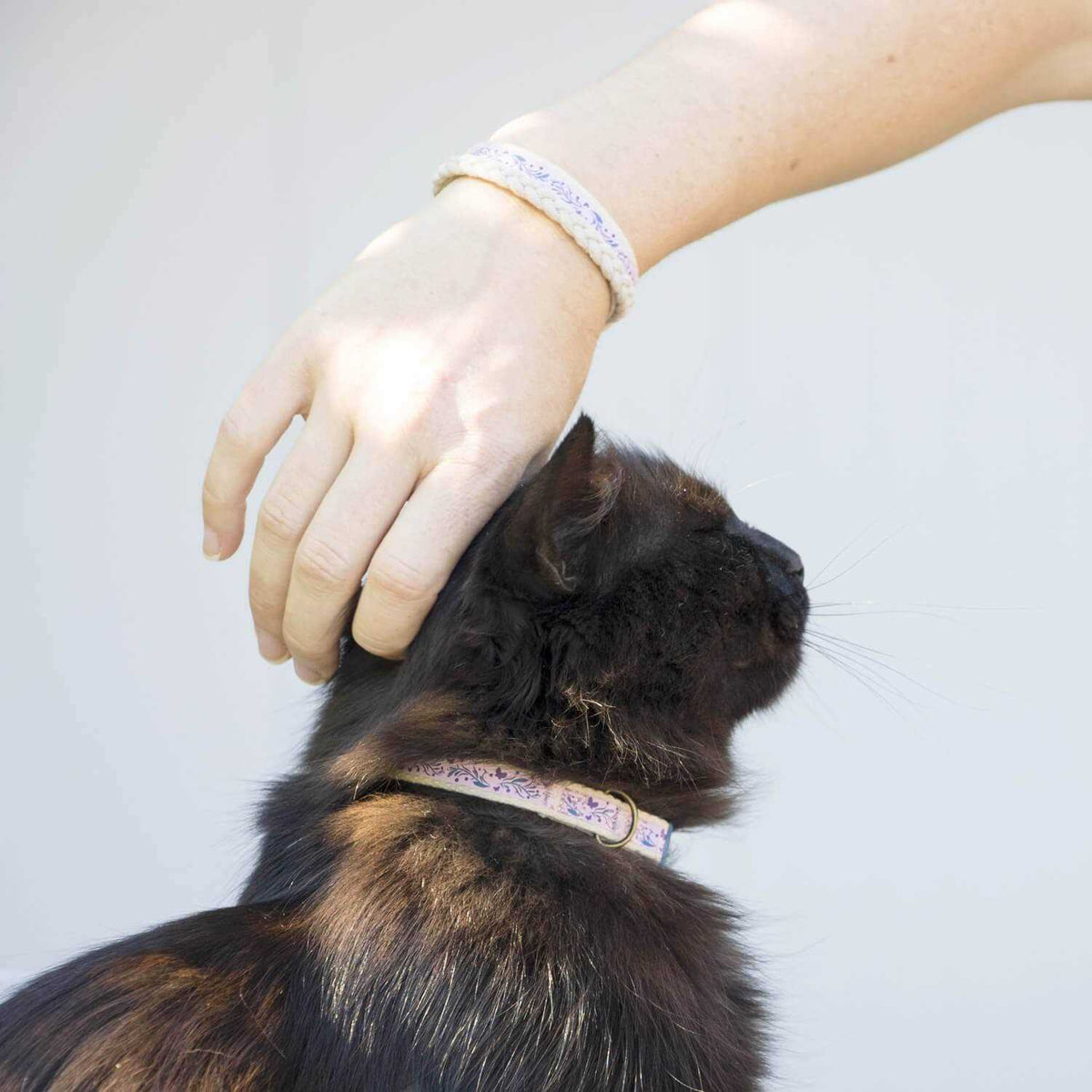 Cat Collar Breakaway H882474