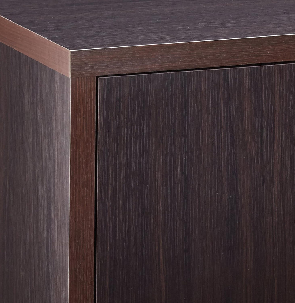 TV Console with 2 Magnetic-Push Doors Cappuccino R2723