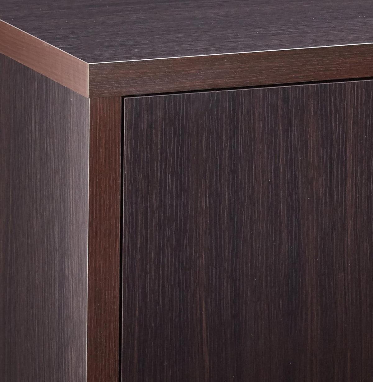 TV Console with 2 Magnetic-Push Doors Cappuccino R2723
