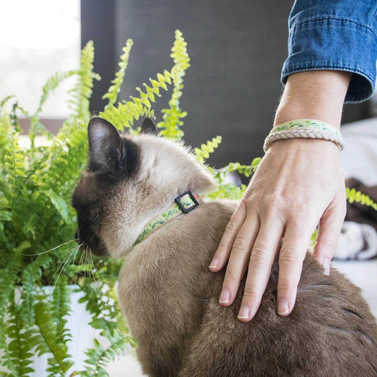 Cat Collar Breakaway H882474