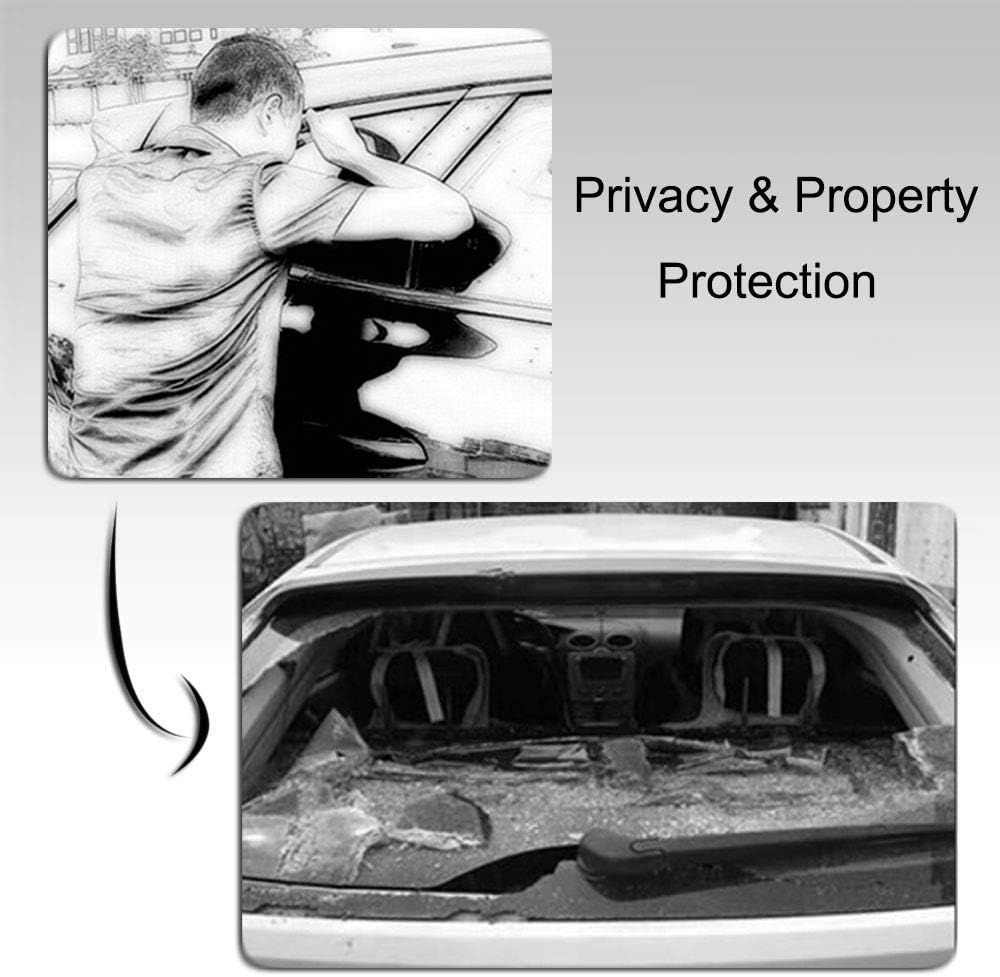 Black Trunk Shade Pack of 2 N21730