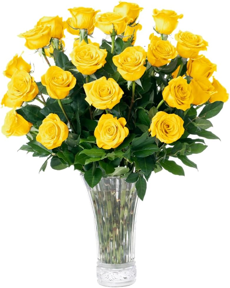 1 Dozen Yellow Roses D611177