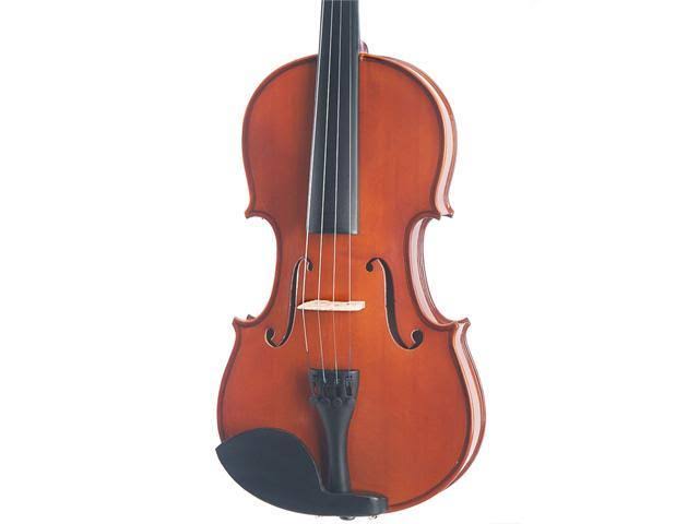 14-inch Solid Wood Viola with Case, Bow, Rosin, Bridge and Strings C439
