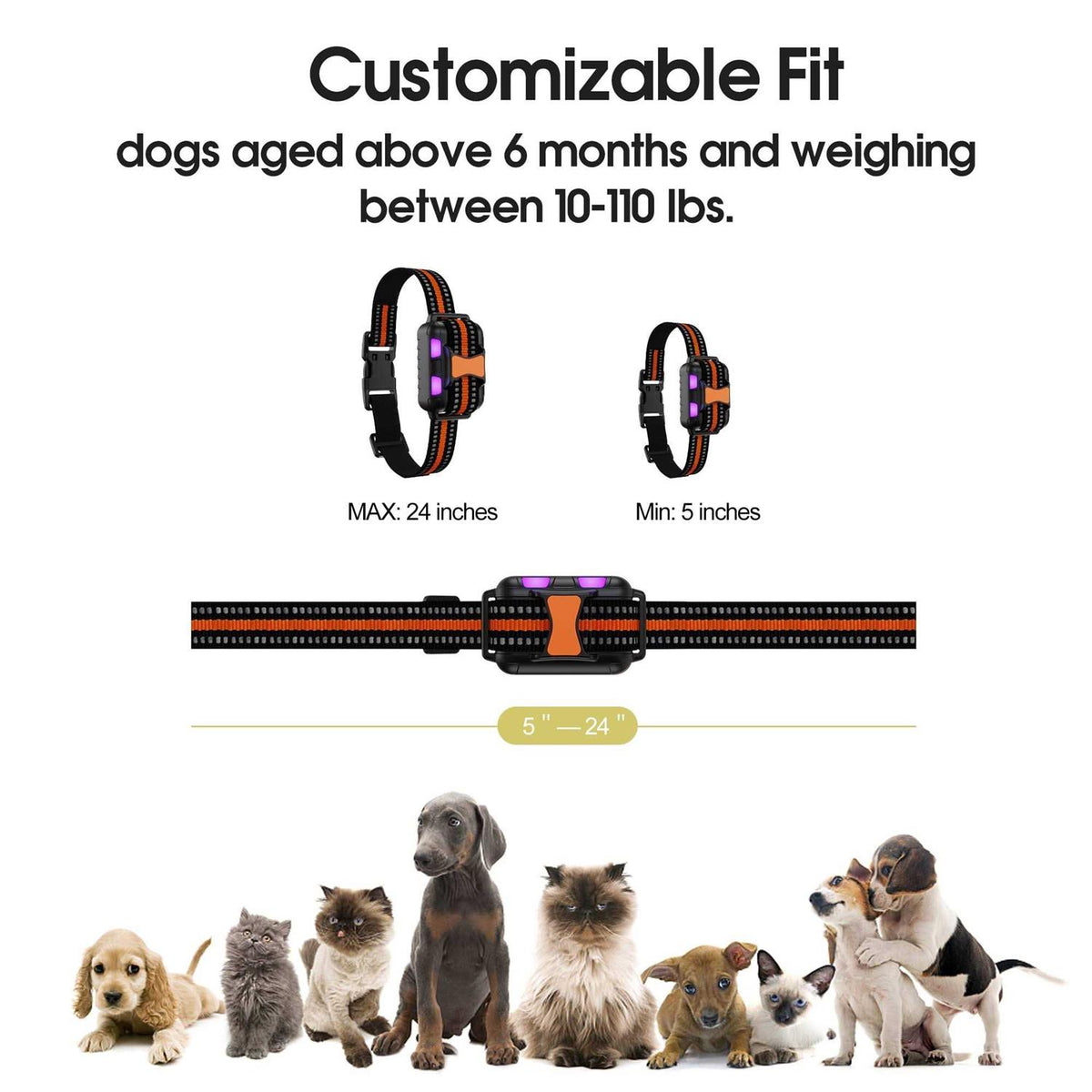 Remote Training Dog Collar A34312
