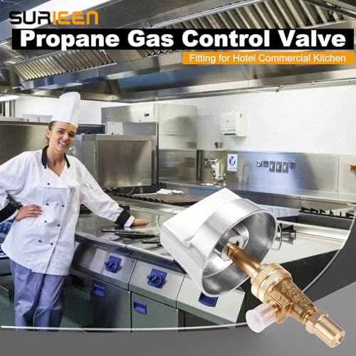 Propane Gas Control Valve with Chromed Steel Knob D241