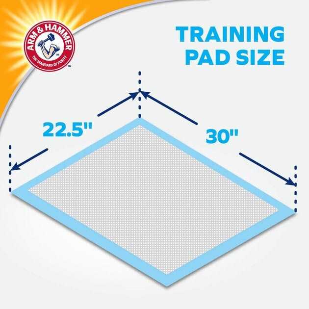 XL Super Absorbent Training Pads I167