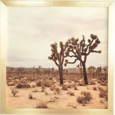 Beige Photographic on Wood in Gold Frame 20x22 L981