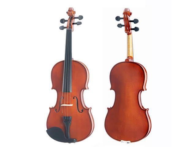 14-inch Solid Wood Viola with Case, Bow, Rosin, Bridge and Strings C439