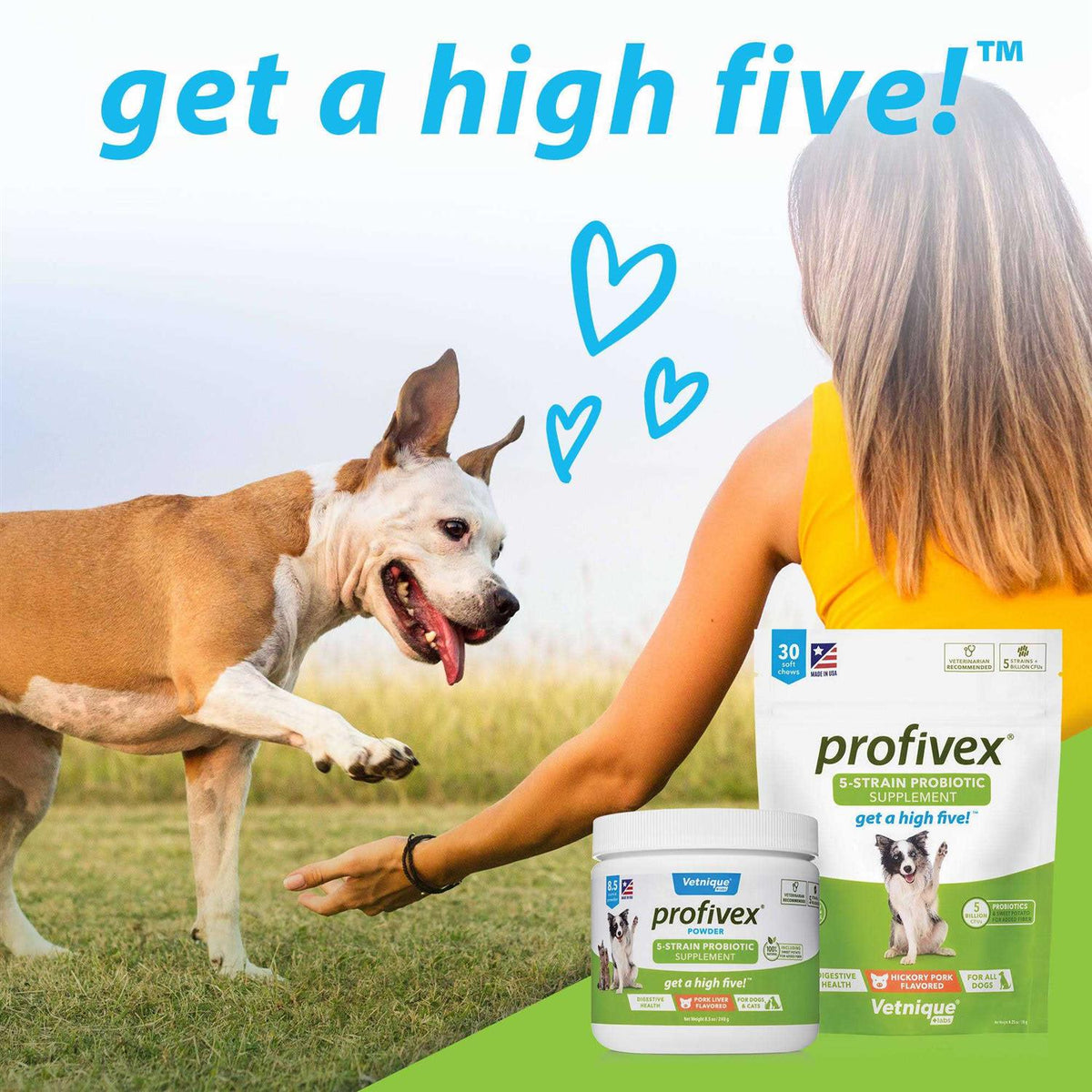 Probiotic Powder for Dogs & Cats T184