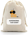 Medium 1"-1.5"+ (1250ct) Superworms D957