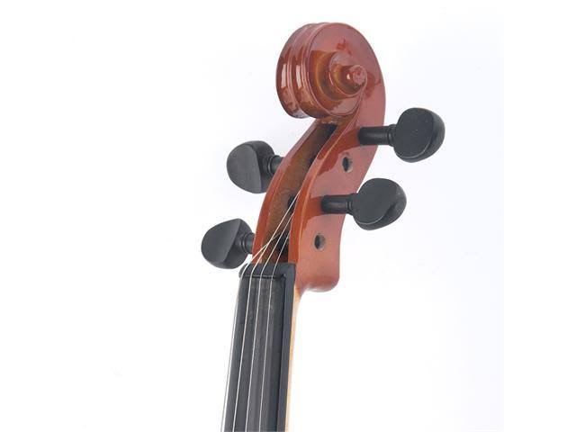 14-inch Solid Wood Viola with Case, Bow, Rosin, Bridge and Strings C439