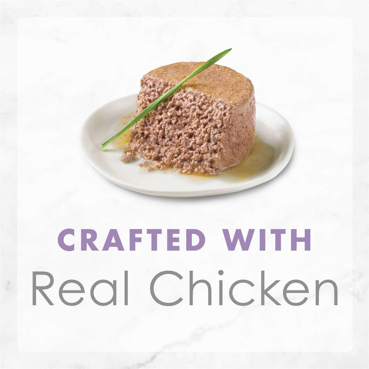 Grain Free Pate Wet Kitten Food P301231