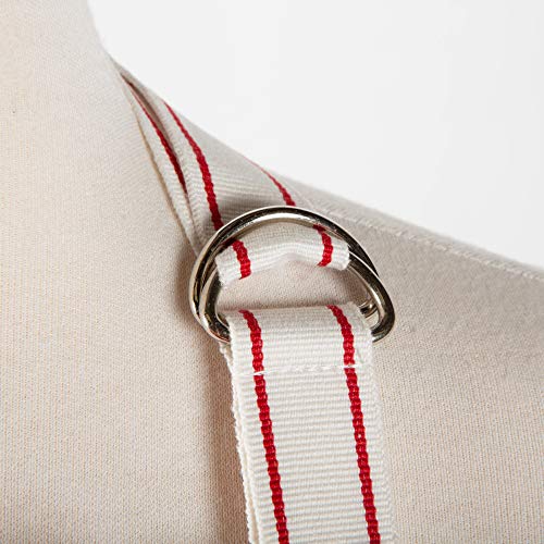 Cotton Apron and Dishtowel Set, 3 Count Q519667