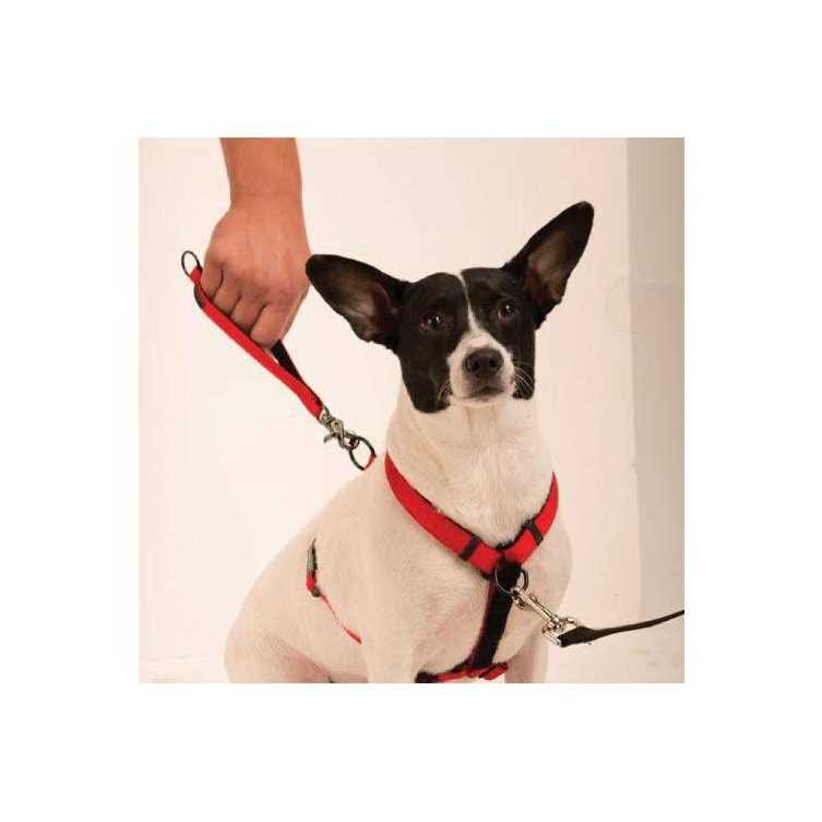 Ultimate Control Harness J3519