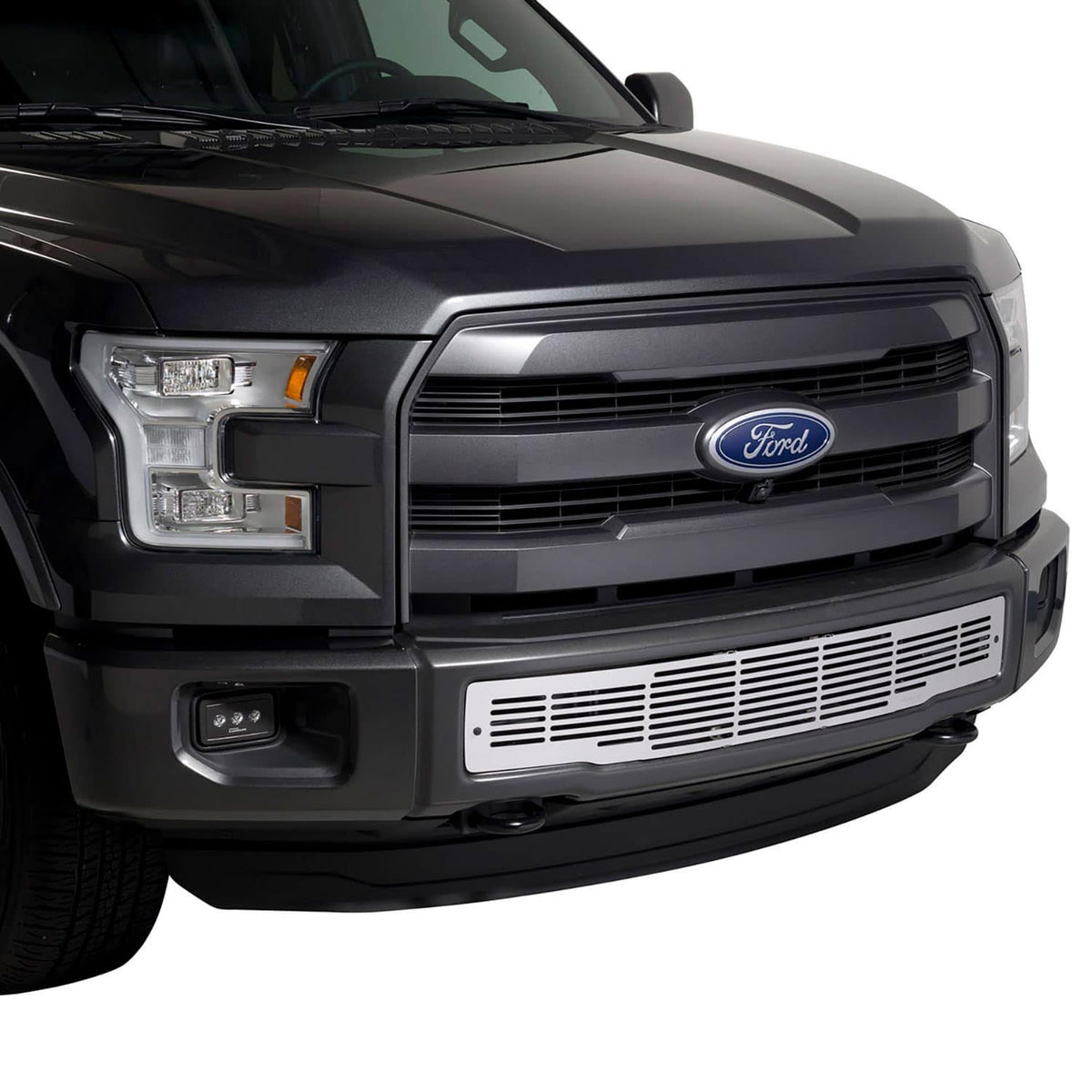 Bumper Grille Insert D22557