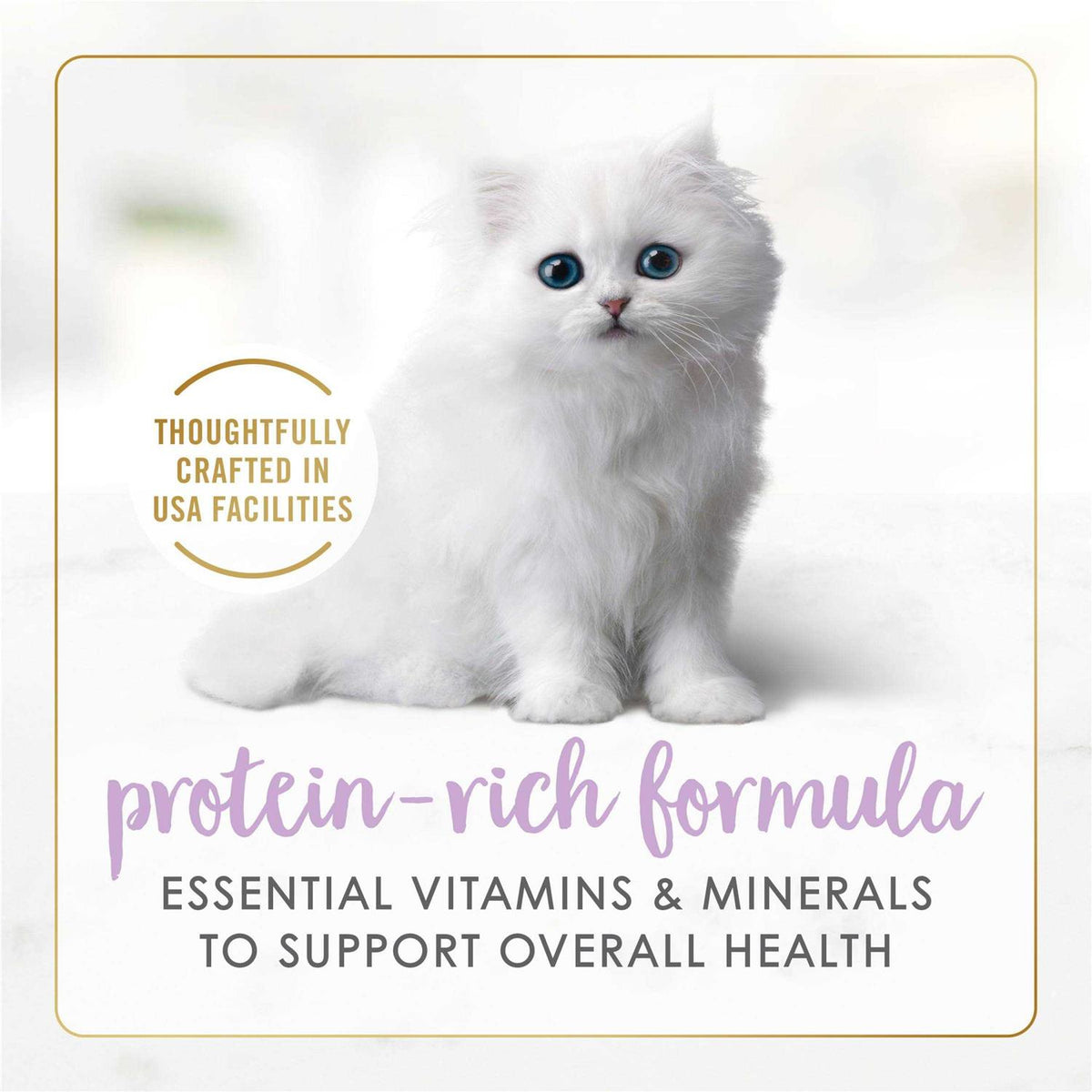 Grain Free Pate Wet Kitten Food P301231