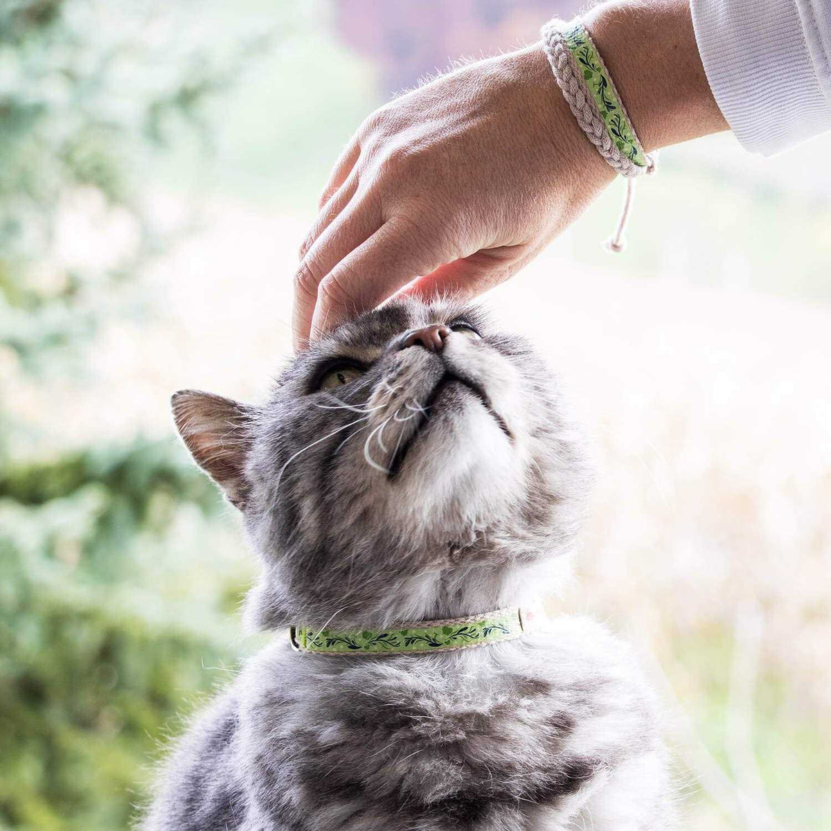 Cat Collar Breakaway H882474
